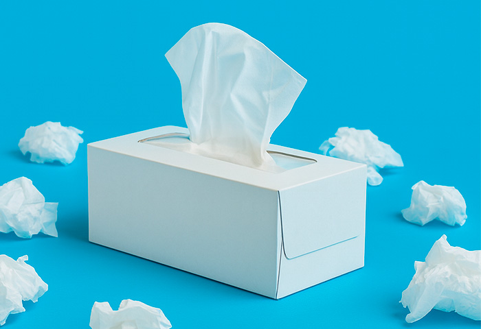 Faproulette: Cos'&egrave; (e l'Unica Alternativa Che Merita i Tuoi Fazzoletti)